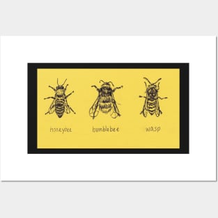 Get To Know Your Stripy Friends! Trio of honeybee, bumblebee, and wasp drawing. Posters and Art